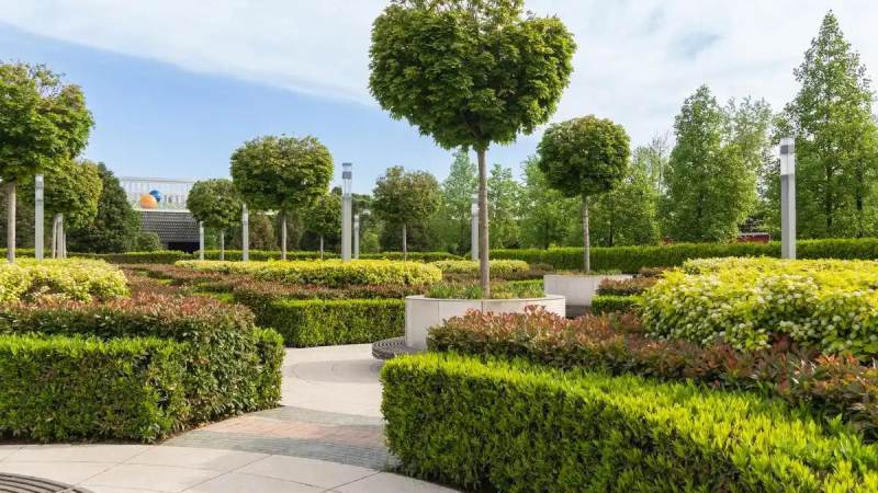 球速体育关于我们配图：球迷在体育社区中讨论赛事